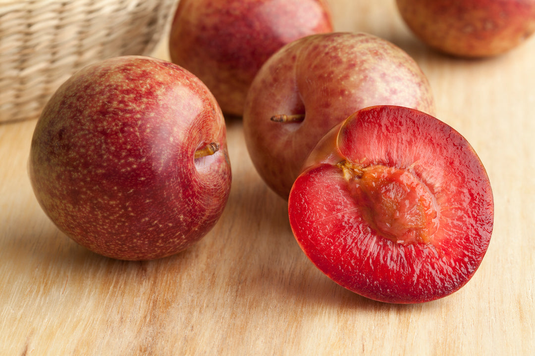 Pluot Tree - 15 Gallon