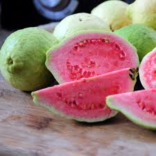 Guava Red Tree - 24" Box 