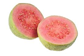 Guava Red Tree - 24" Box 