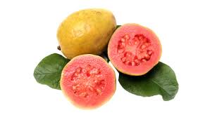 Guava Red Tree - 24" Box 