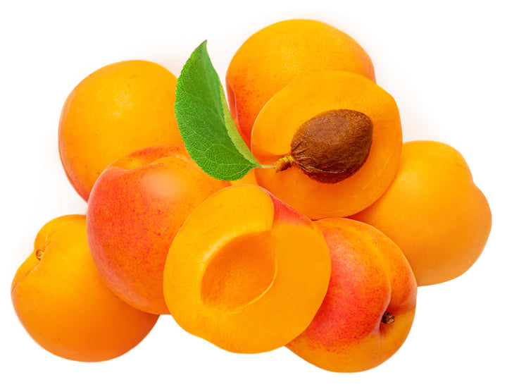 Royal Blenheim Apricot Tree - 15 Gallon