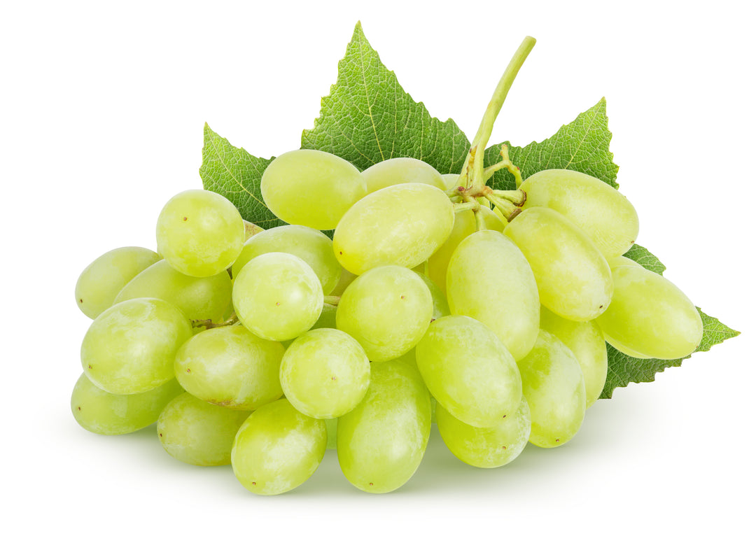 Thompson Green Seedless Table Grape Vine - 5 Gallon
