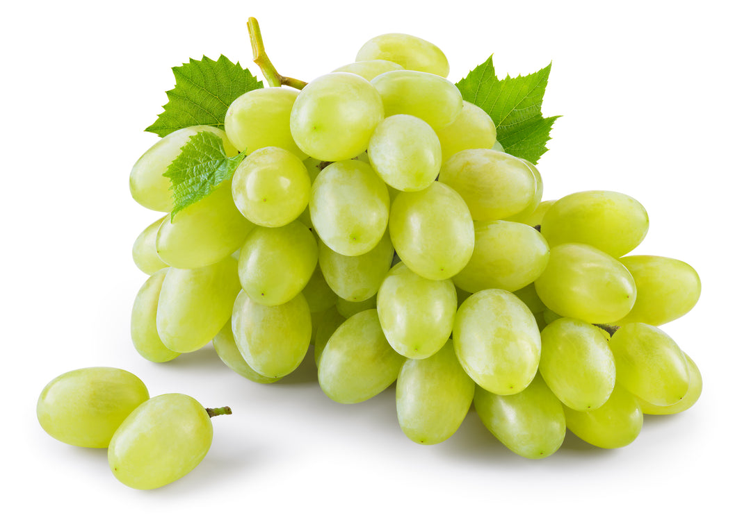 Thompson Green Seedless Table Grape Vine - 5 Gallon