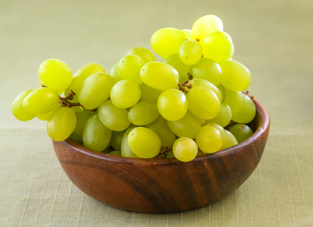 Thompson Green Seedless Table Grape Vine - 5 Gallon