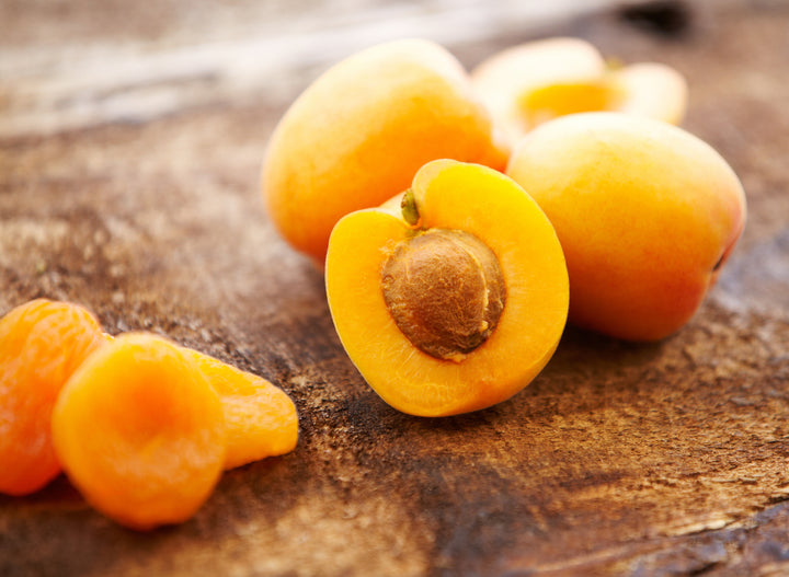 Tilton Apricot Tree - 15 Gallon