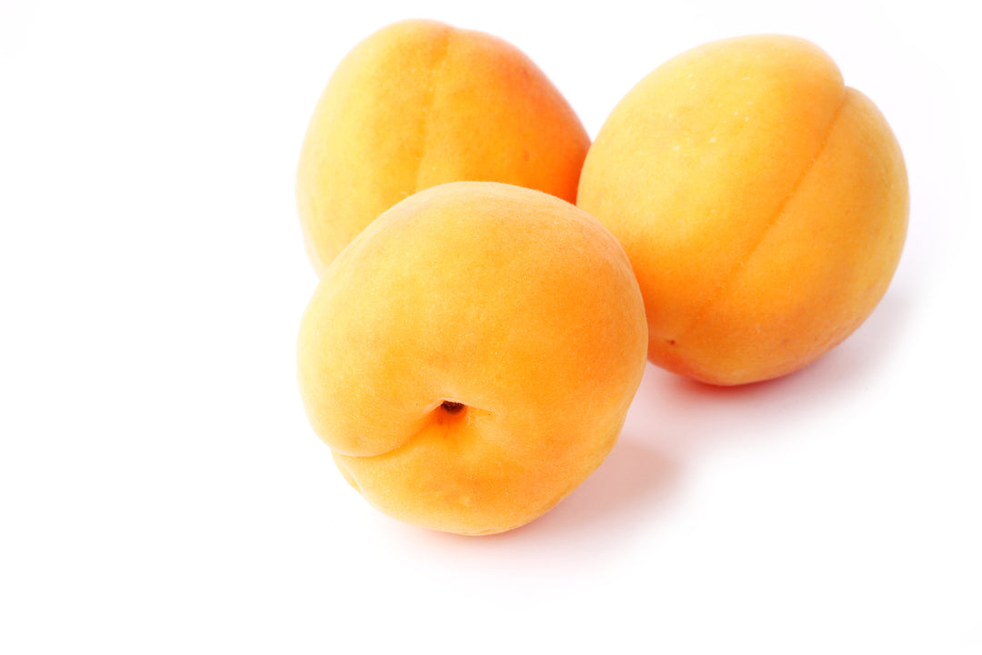 Tilton Apricot Tree - 15 Gallon