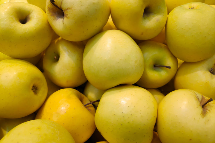 Yellow Delicious Apple Tree - 24" Box