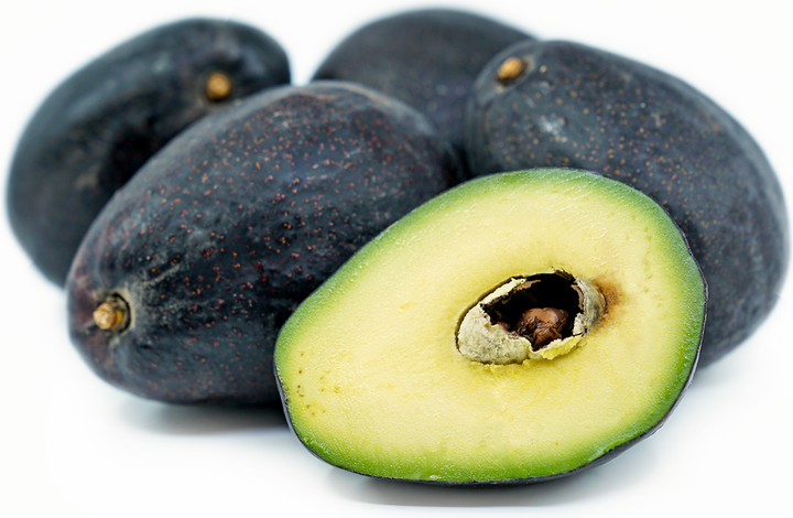 Sir Prize Avocado Tree - 24" Box 