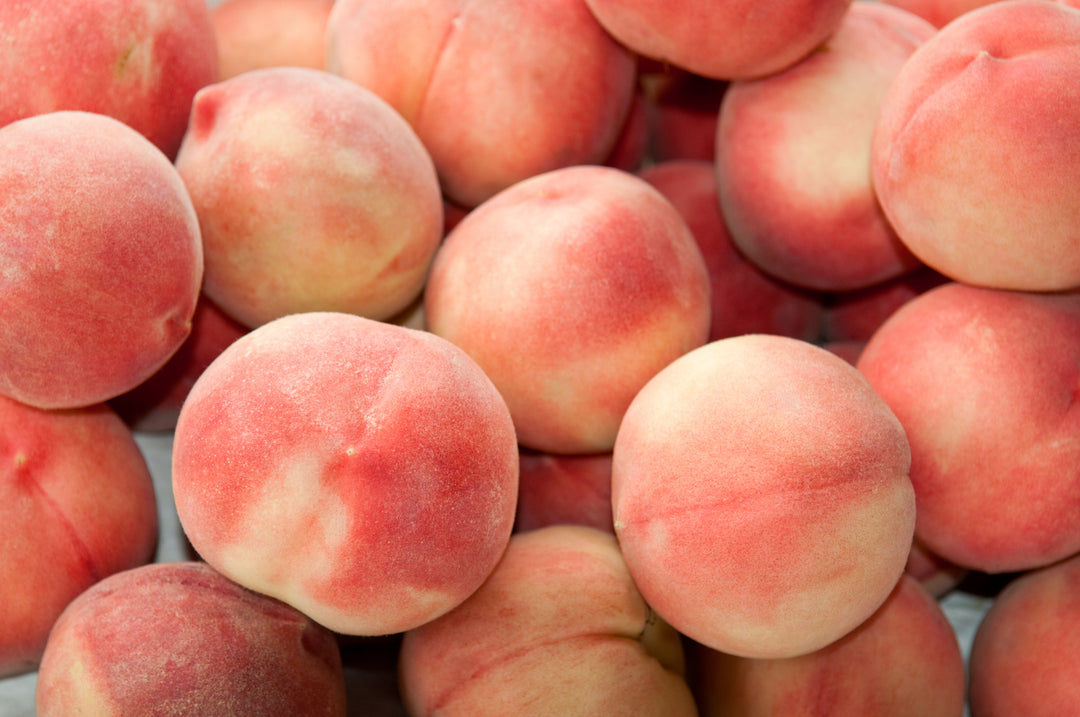 Babcock Peach Tree - 15 Gallon