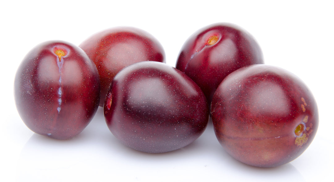 Beauty Plum Tree - 15 Gallon