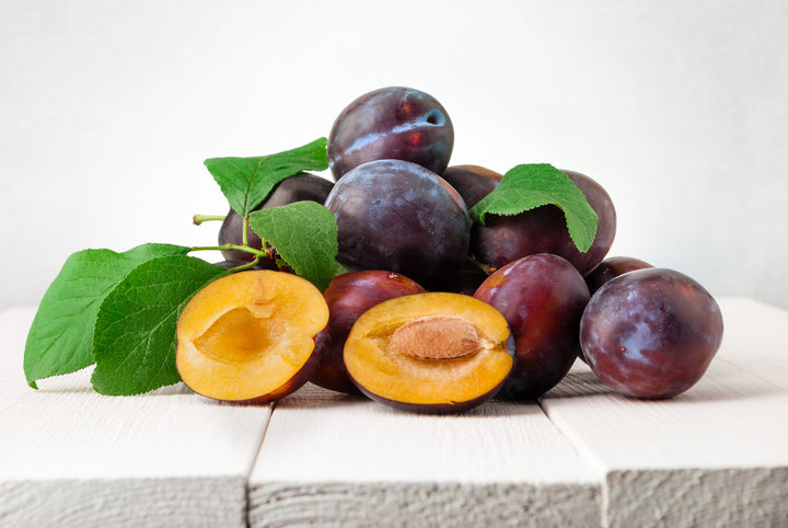 Beauty Plum Tree - 15 Gallon