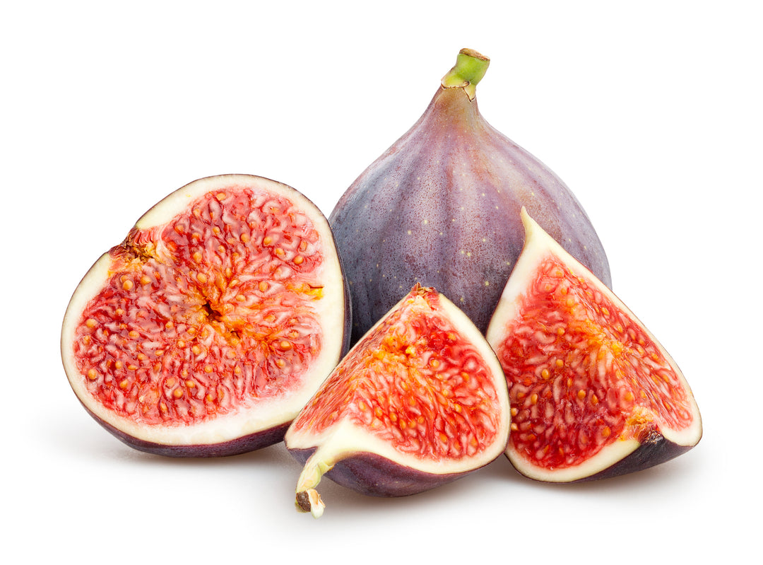 Black Mission Fig Tree - 24" Box