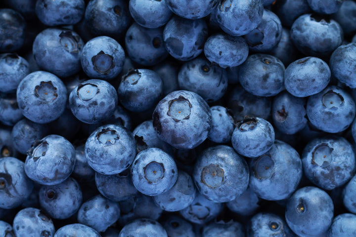 Jubilee Blueberry Bush - 5 Gallon