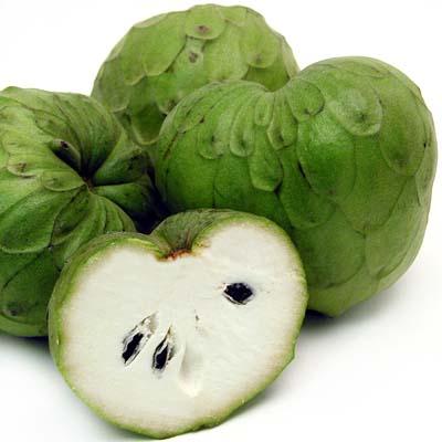 Cherimoya Tree - 15 Gallon