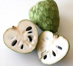 Cherimoya Tree - 24" Box 