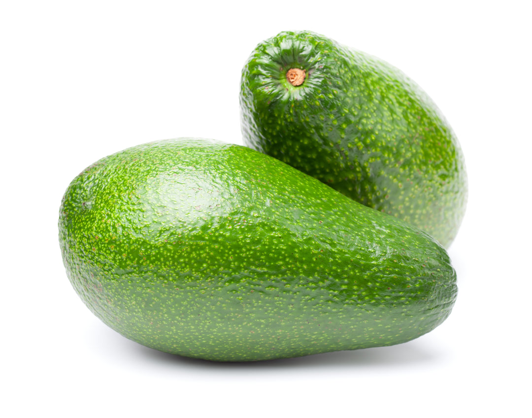 Ettinger Avocado Tree - 24" Box