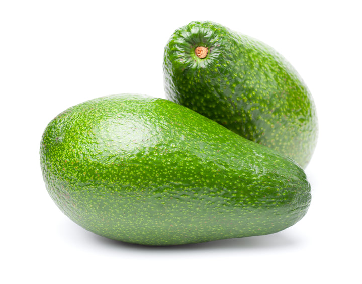Ettinger Avocado Tree - 24" Box