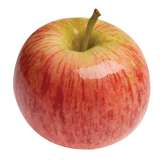 Gala Apple Tree - 15 Gallon