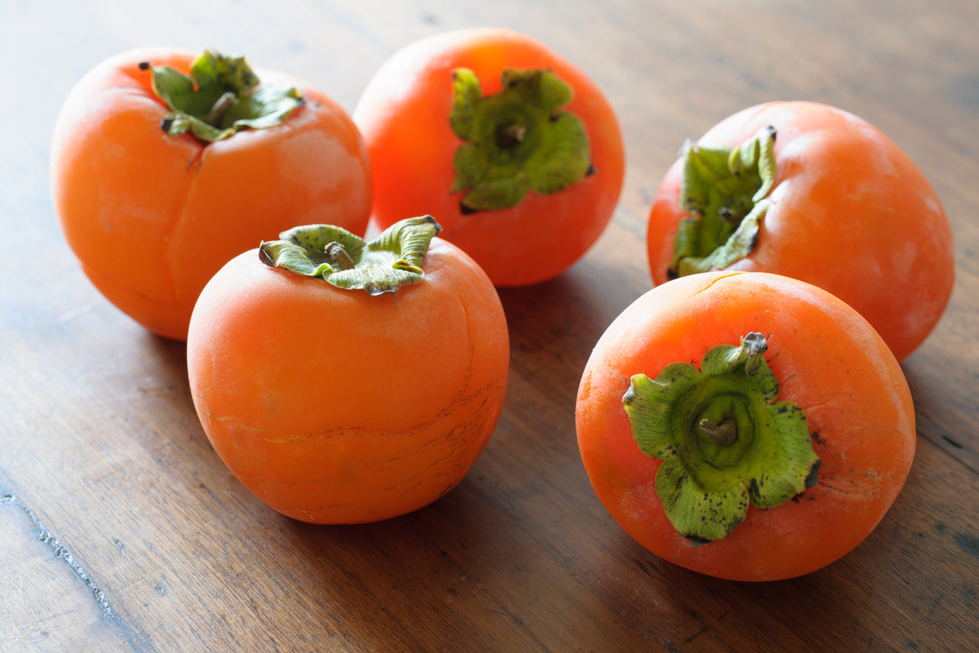 Hachiya Persimmon Tree - 15 Gallon