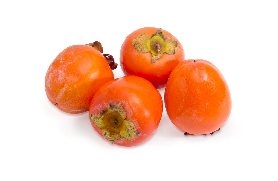 Hachiya Persimmon Tree - 15 Gallon