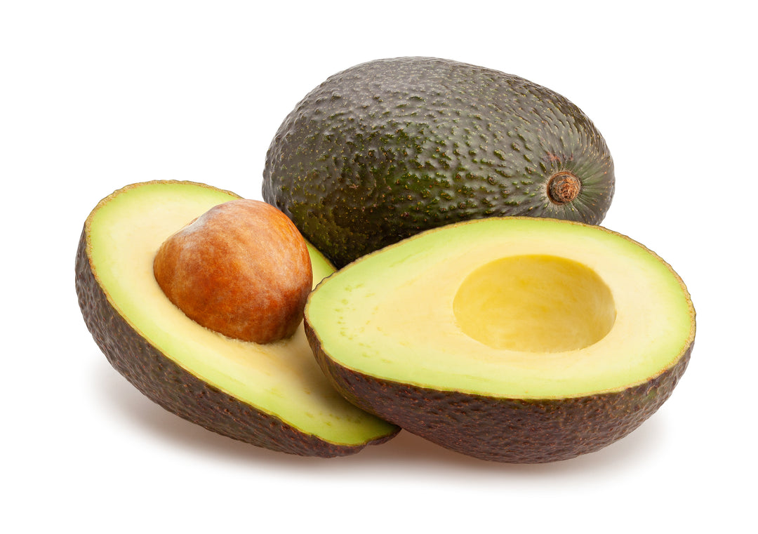 Hass Avocado Tree - 15 Gallon
