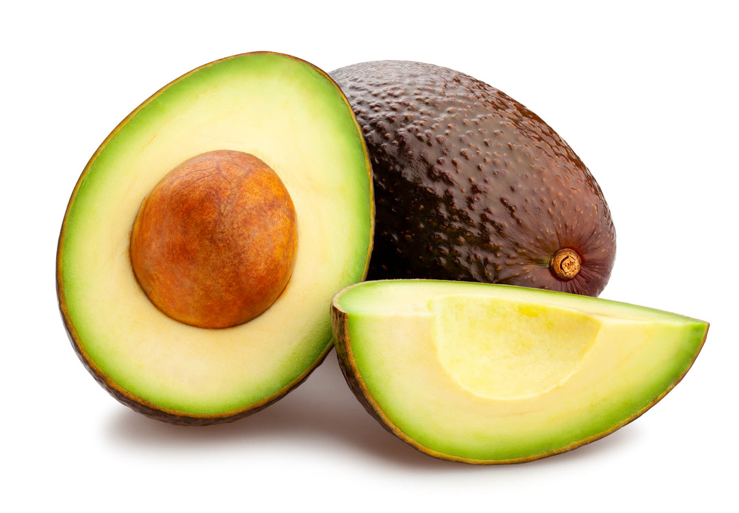 Hass Avocado Tree - 15 Gallon