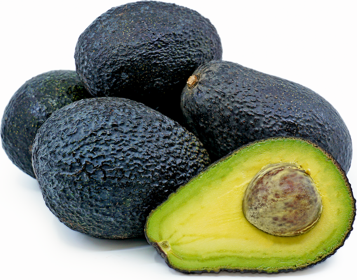 Lamb Hass Avocado Tree - 15 Gallon