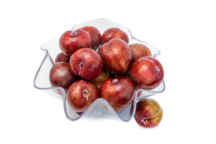 Mariposa Plum Tree - 15 Gallon