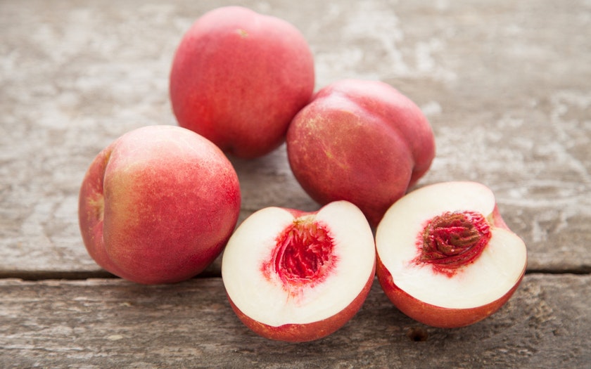 NectaPlum Tree - 15 Gallon