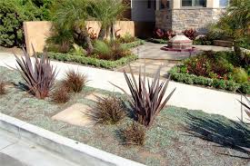 Phormium tenax 'Atropurpureum' ('Bronze')('Purpureum') New Zealand Flax tenax 'Atropurpureum'  - 5 Gallon