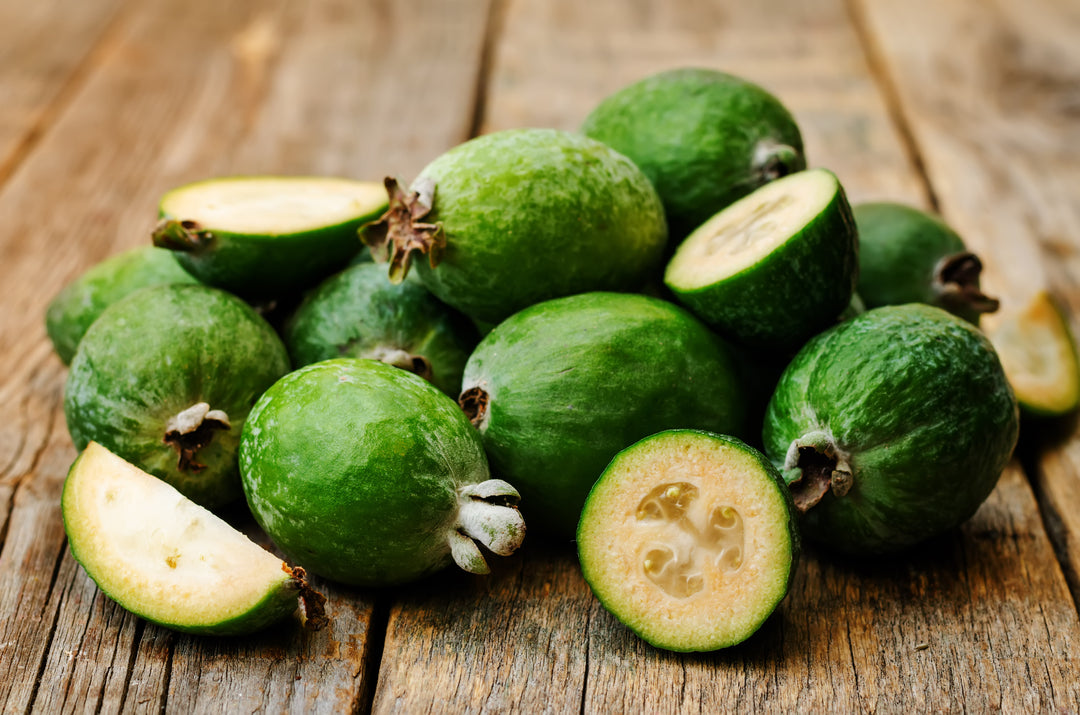 Pineapple Guava - 15 Gallon Bush