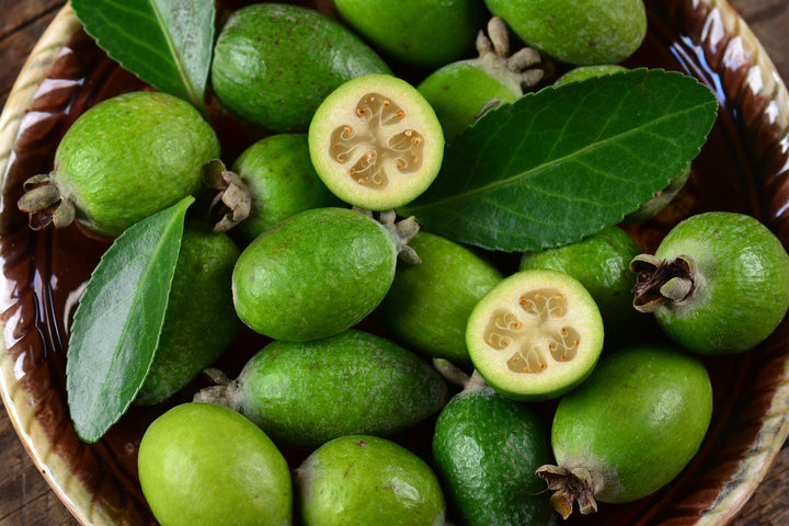 Pineapple Guava - 15 Gallon Bush