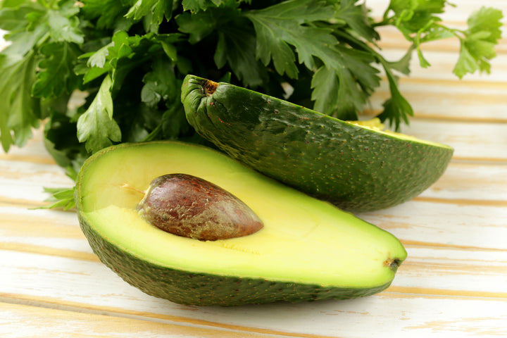 Zutano Avocado Tree - 24" Box
